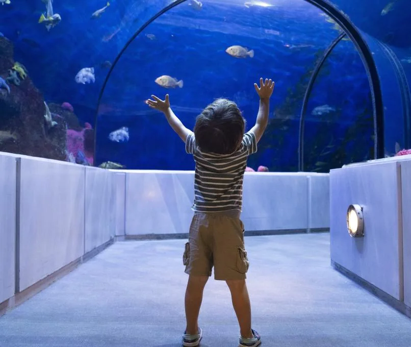 Enfant levant les bras devant les poissons du tunnel du Grand Océan